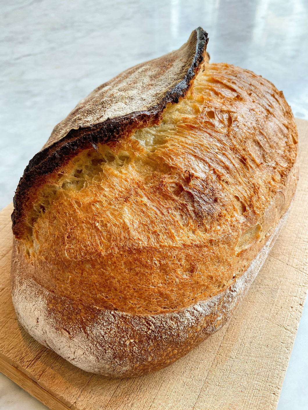 Włoski chleb na Święta | odbiór 22 - 24 grudnia 2025